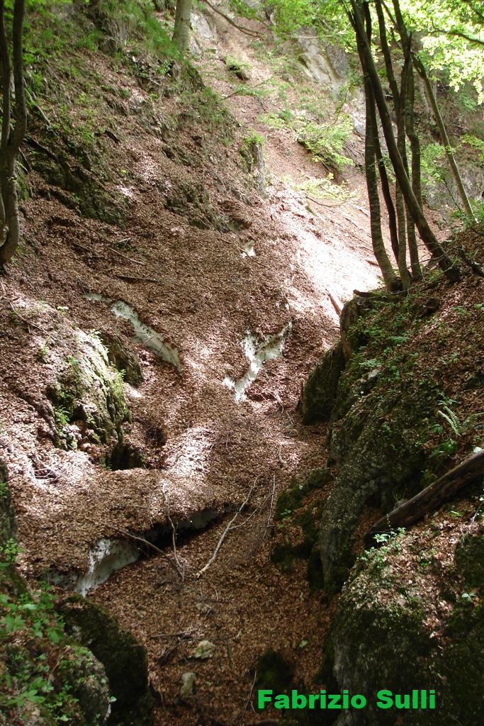 nevai del primo salto roccioso 3 copia.jpg